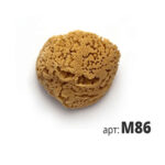 M86 STMDECOR натуральная губка морская БОЛЬШАЯ, 180мм